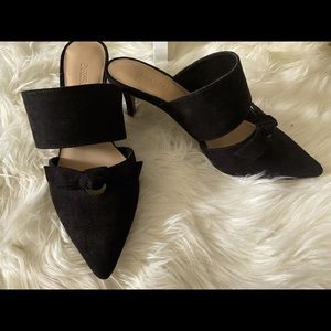 NWOT Pointed Toe Mules